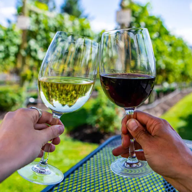 Wine tasting at a Napa Valley estate